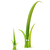 Twig